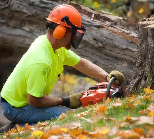 tree services Woodville